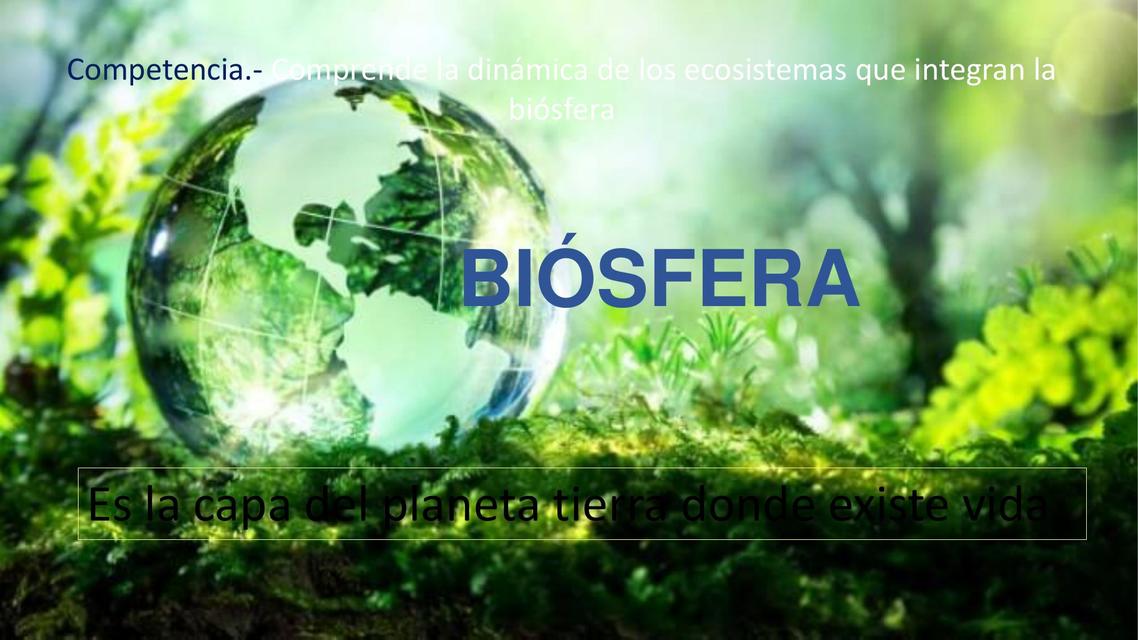 ciclos biogeoquimicos