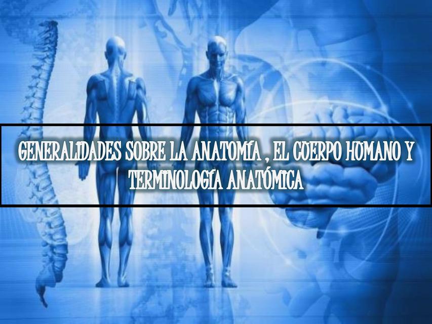 generalidades anatomia