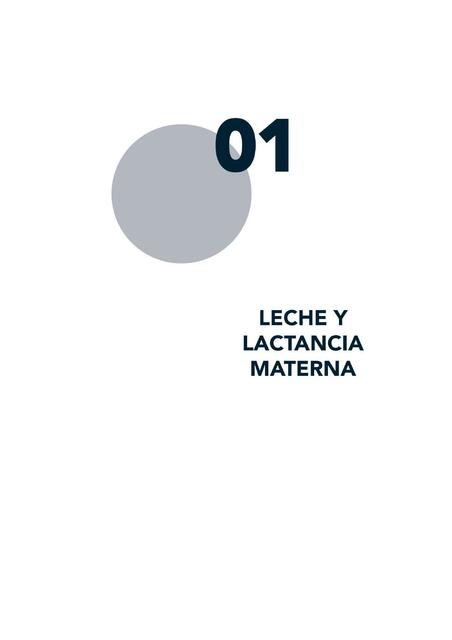 Leche y lactancia materna 