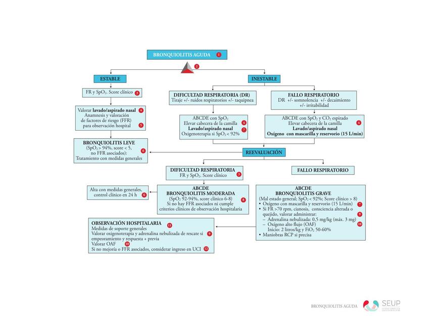 Bronquiolitis Aguda 