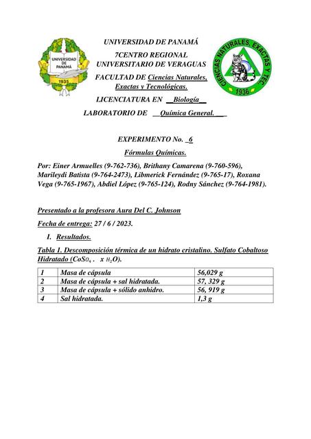 Informe 2 de Química Formulas Químicas