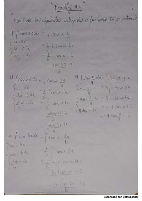 Cálculo Integral