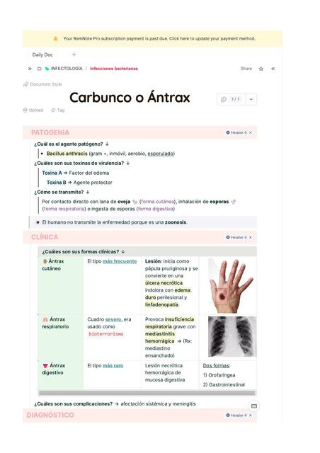 Carbunco o Ántrax | Anaiz Ticona Flores | uDocz