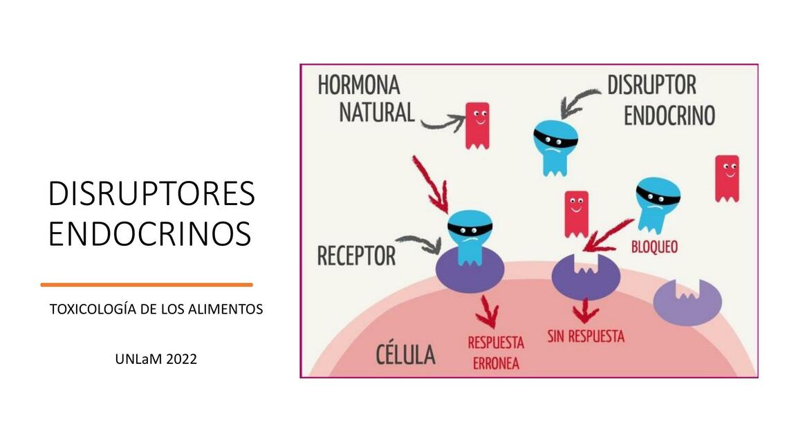 Disruptores endocrinos 