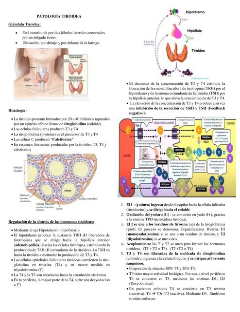 Patología tiroidea