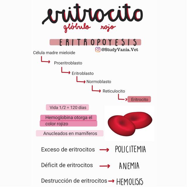 Hematología 