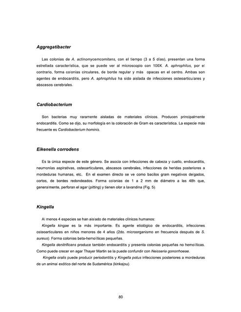 Eikenella Corrodens y Otras Bacterias Biología General uDocz