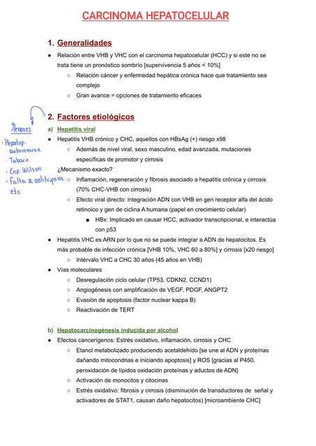 Carcinoma Hepatocelular  