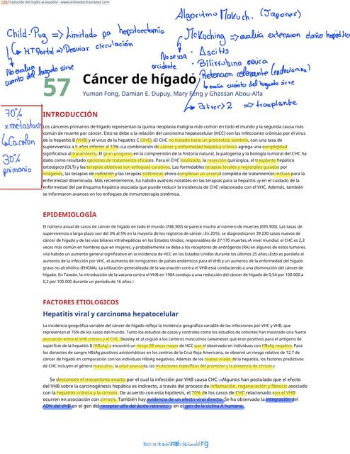 Cáncer de Hígado 