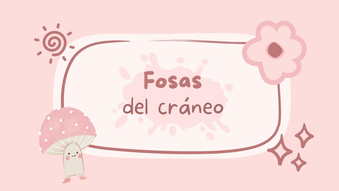 FOSAS DEL CRÁNEO