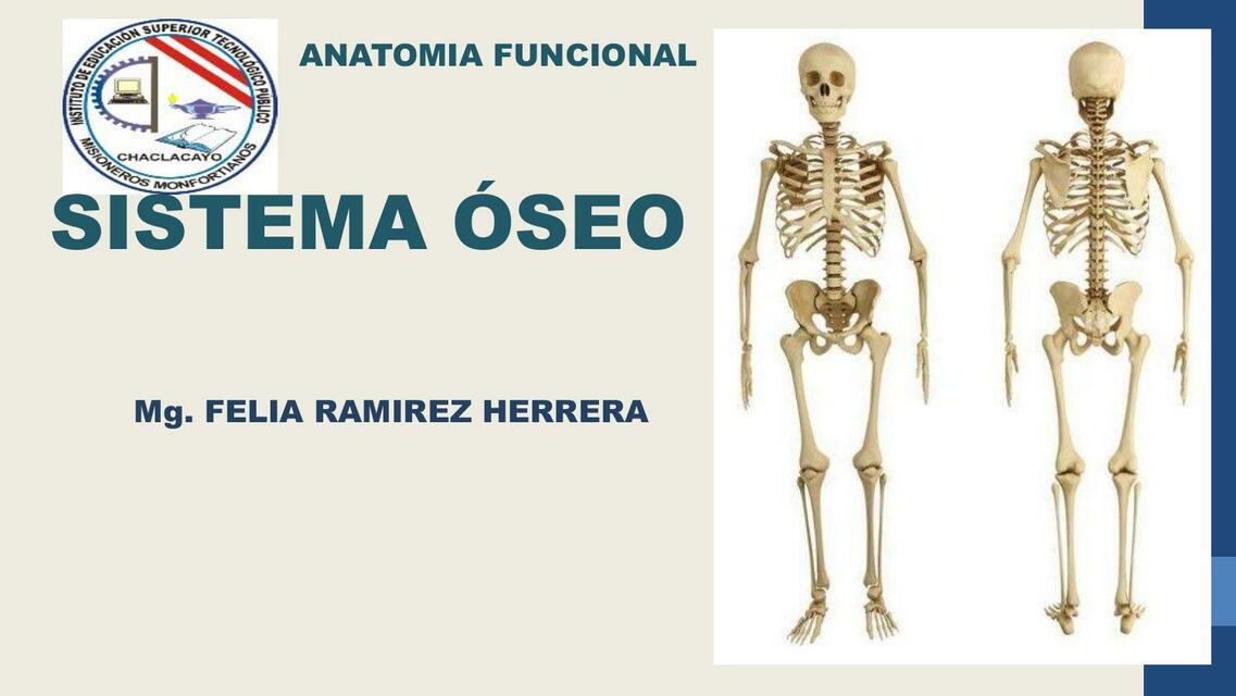 Sistema Óseo 