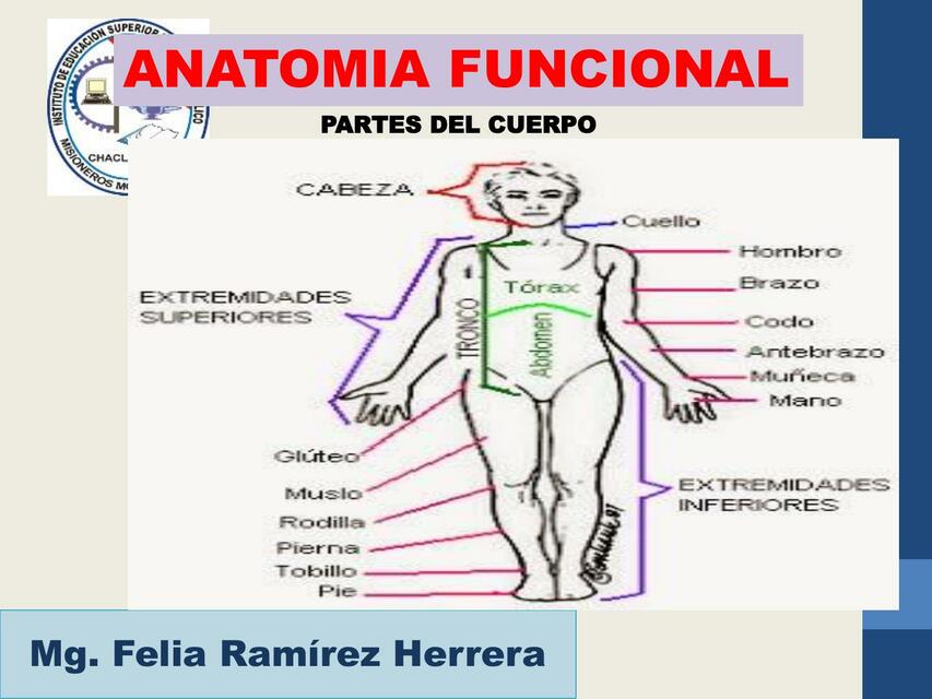 Partes del Cuerpo 