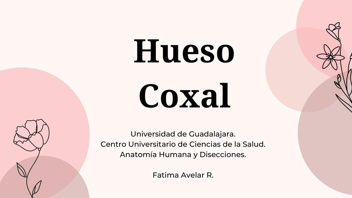 Hueso Coxal 