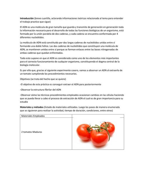 Informe del experimento extracción de ADN de un tomate