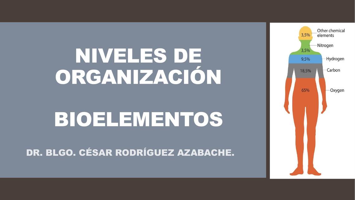 Niveles de organización bioelementos 