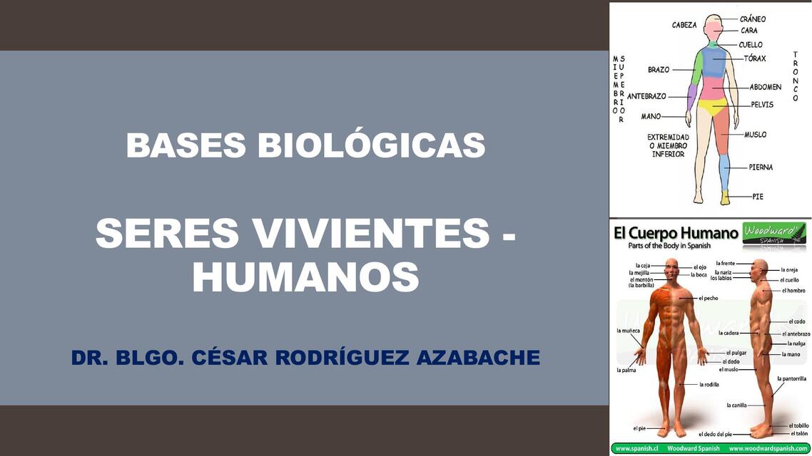 Seres vivientes -humanos 