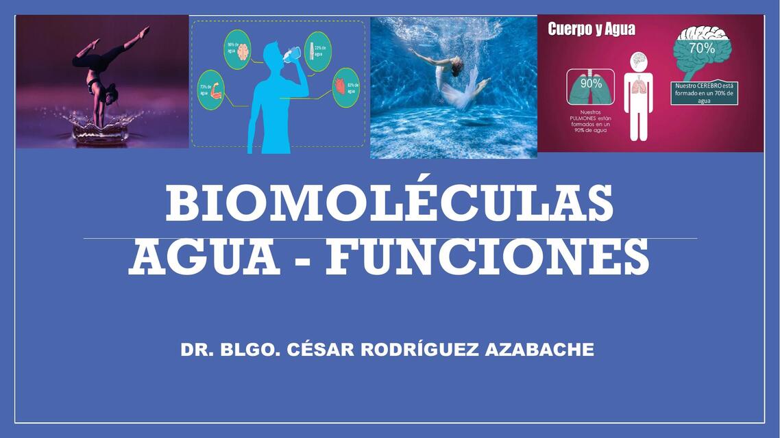 Biomoléculas agua - funciones 