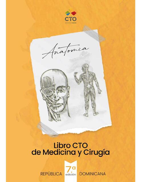 Anatomía 