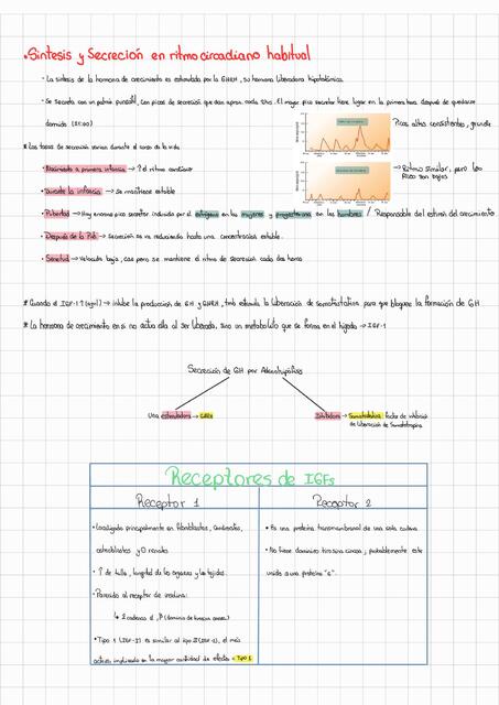 Fisiología del Sistema Reproductor Masculino