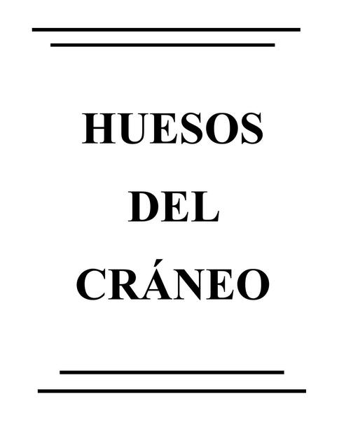 Huesos del cráneo y cara