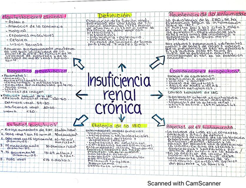 Insuficiencia renal crónica IRC