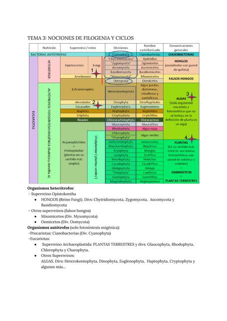 Tema 3 nociones de filogenia y ciclos