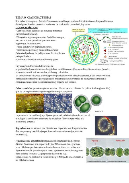 Tema 9 cianobacterias