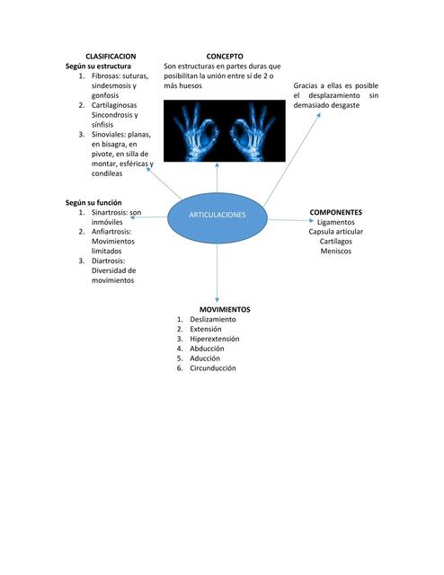 Articulaciones