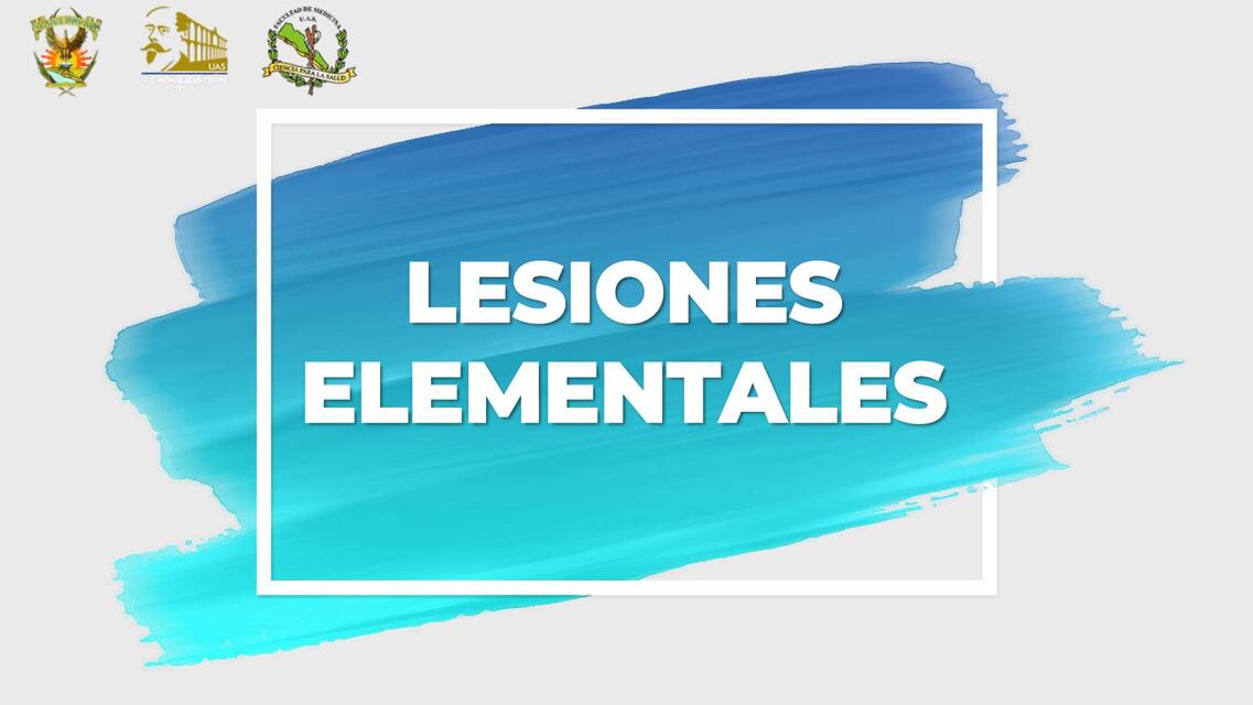 Lesiones Elementales 