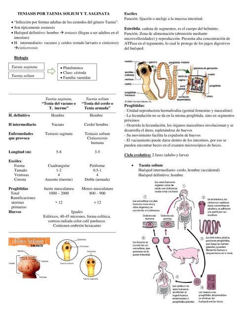 Teniasis 