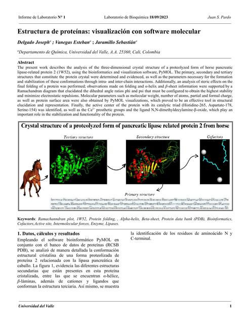 Informe - Estructura de Proteínas