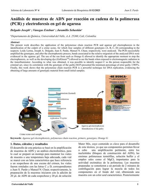 Informe - PCR