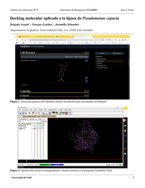 Informe 5 Docking Molecular