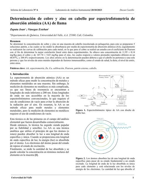 Informe - Determinación de Cu y Zn en Cabello Humano por Absorción Atómica