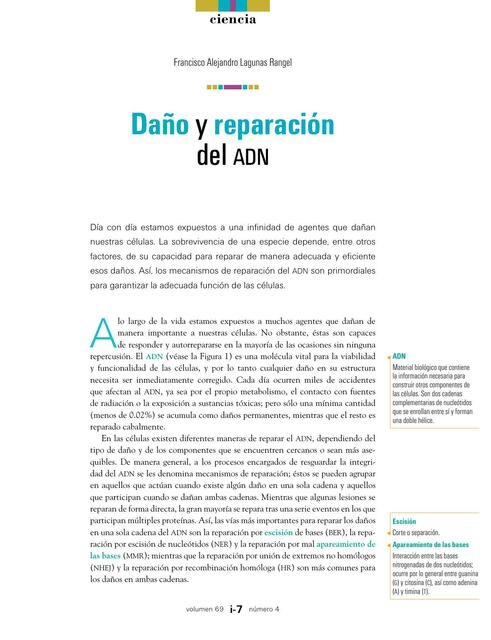 Daño y Reparación del ADN 