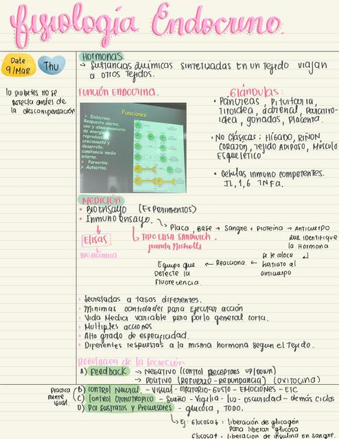 APUNTE: Fisiología endocrina