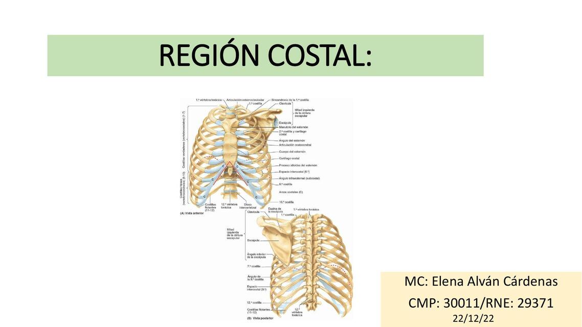 Región Costal 