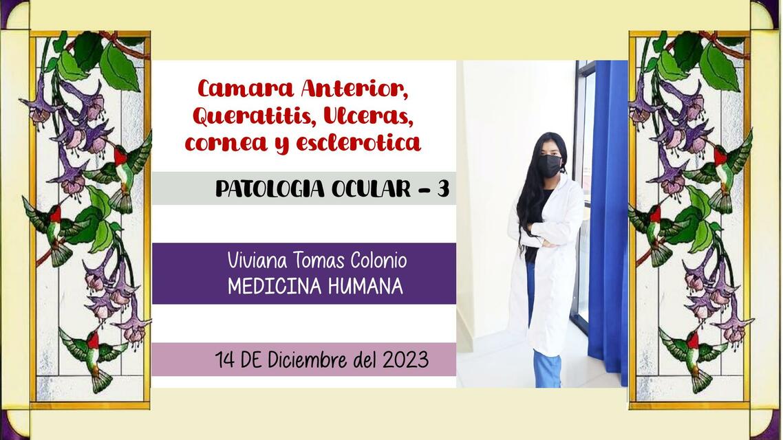 Patología ocular - 3 (Cámara Anterior, Queratitis, Ulceras, cornea y esclerótic)