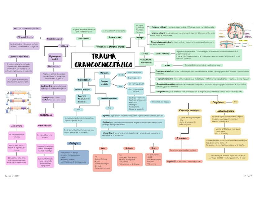 Trauma craneoencefalico