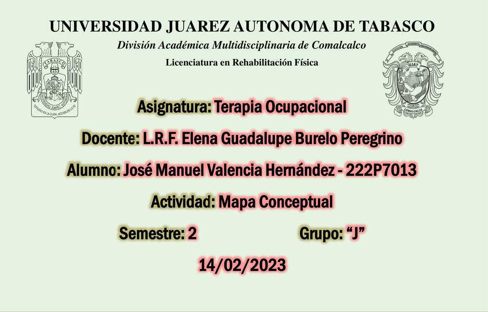 Mapa Conceptual de Terapia Ocupacional