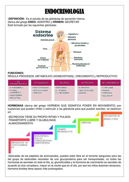 Introducción a endocrinología 