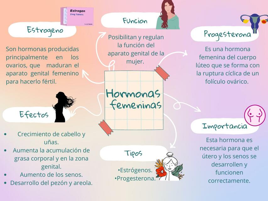 Hormonas Femeninas