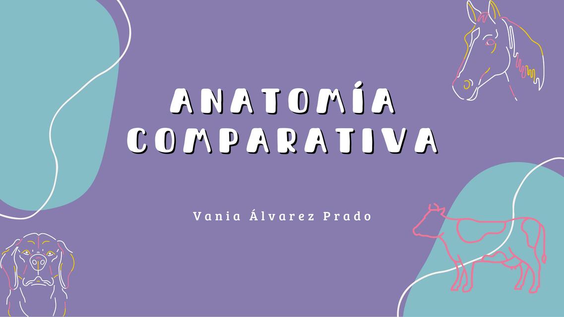 Anatomía Comparativa