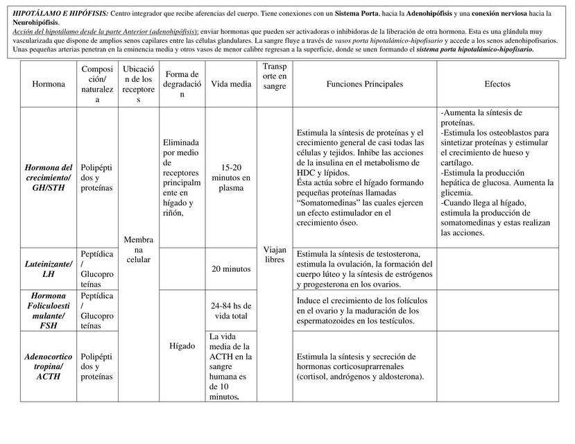 Hormonas del sistema endocrino 