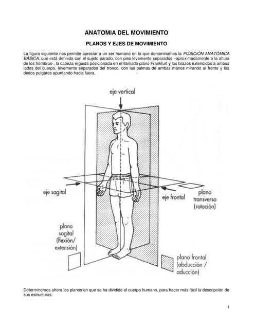 Plano y eje del cuerpo humano