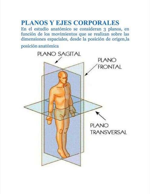 Planos y Ejes Corporales