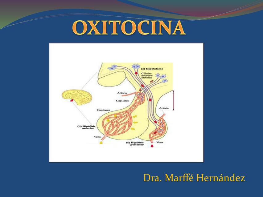 Oxitocina 