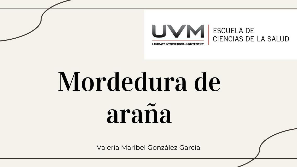 Mordedura de Araña 