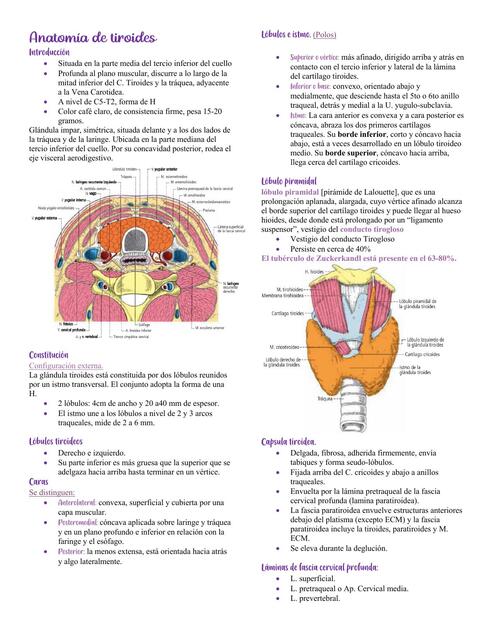 anatom-a-embriologia-e-histolog-a-de-tiroides-montserrat-hern-ndez