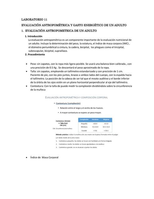 Evaluación Antropométrica y Gasto Energético de un Adulto 